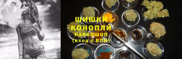 стаф Костерёво