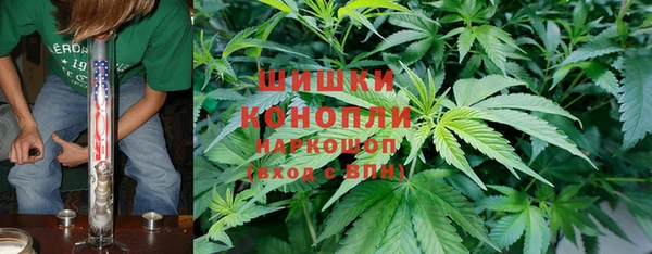 стаф Костерёво