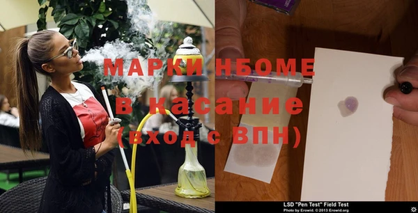 шишки Беломорск
