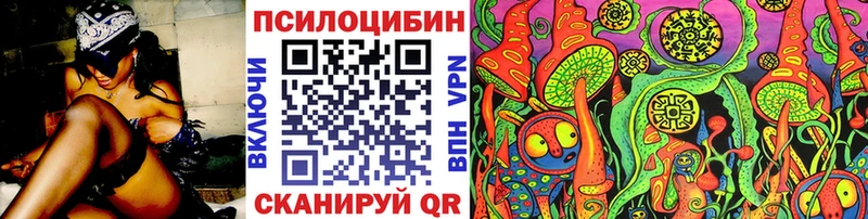 что такое   Курган  Галлюциногенные грибы Psilocybine cubensis 