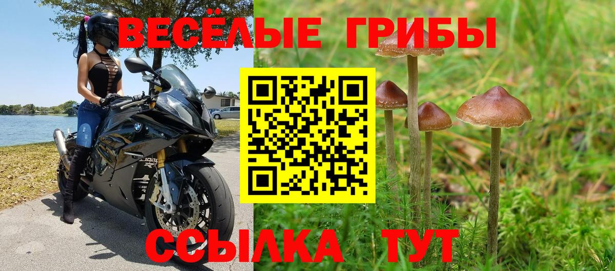 Галлюциногенные грибы Magic Shrooms  Курган  Галлюциногенные грибы Psilocybine cubensis 