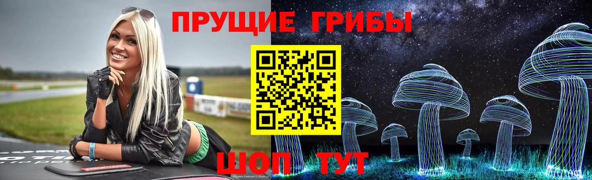 Псилоцибиновые грибы ЛСД  Вход с VPN  как найти закладки  Курган 